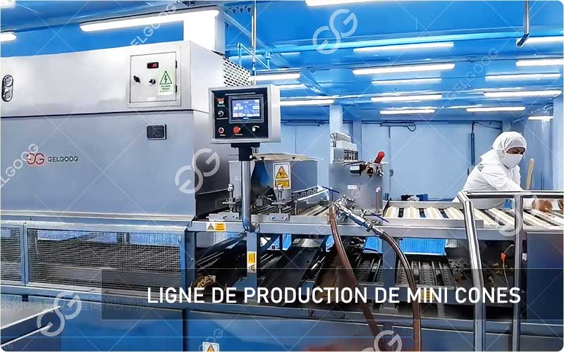 Composants D'Une Ligne De Production De Mini Cones